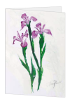 Korrespondenzkarte "Iris"