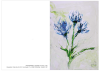 Korrespondenzkarte "Kornblumen"